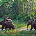 Cerita Pengalaman saat Berkunjung di Taman Nasional Chitwan, Nepal