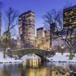 Mengapa New York Menjadi Tujuan Liburan Musim Dingin yang Menarik