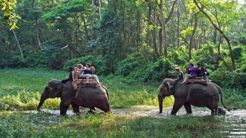 Cerita Pengalaman saat Berkunjung di Taman Nasional Chitwan, Nepal