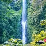 Keindahan Alam Coban Rais: Eksplorasi Air Terjun Menakjubkan di Malang
