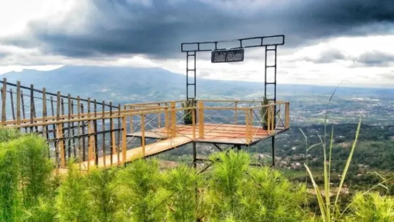 Pesona Dua Surga Tersembunyi, Bukit Alesano & Riung Gunung Bogor