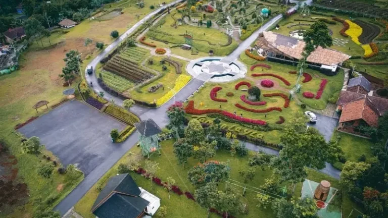 Menjelajahi Keindahan Camp Hulu Cai Ciawi dan Lembah Tepus di Bogor