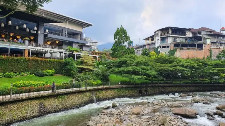 Perbedaan Destinasi Cimory Dairyland & Cimory Riverside di Bogor