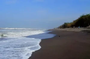 Pantai Baru, Objek Wisata Pantai Nan Eksotis di Bantul